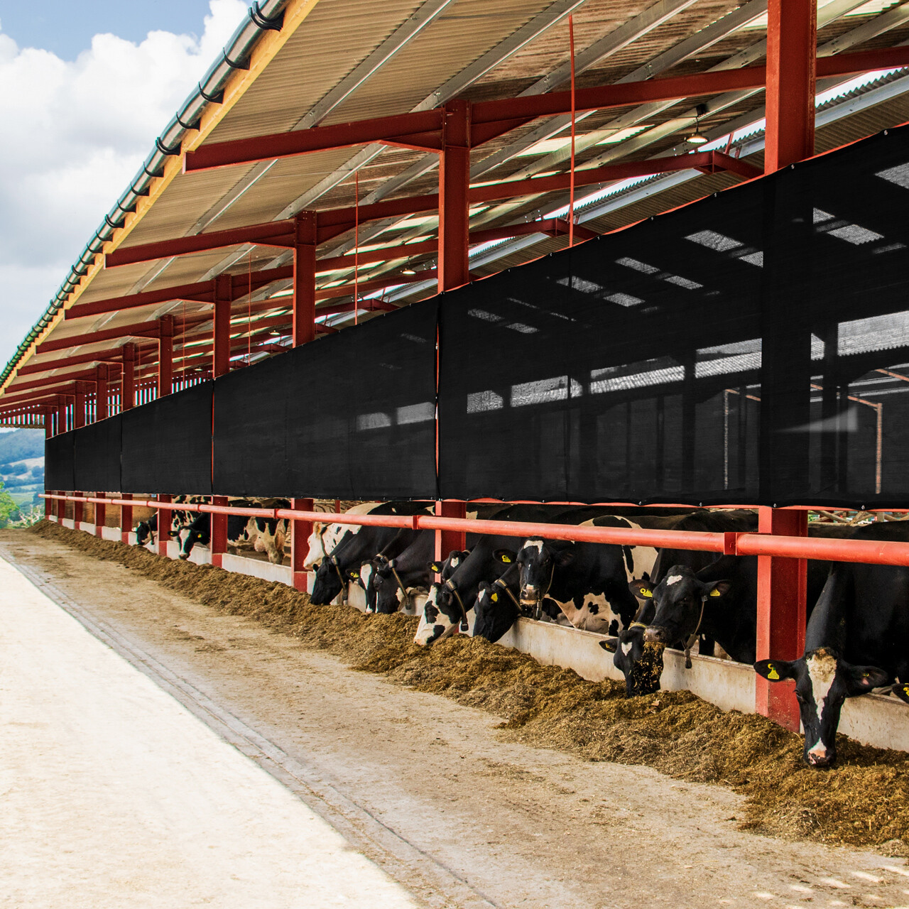 Mesh Livestock Panels [2 Sizes] – Farm Windbreaks Fencing Shade Wind  Protection | eBay