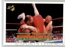 1990 Classic WWF WWE #47 Bushwhackers
