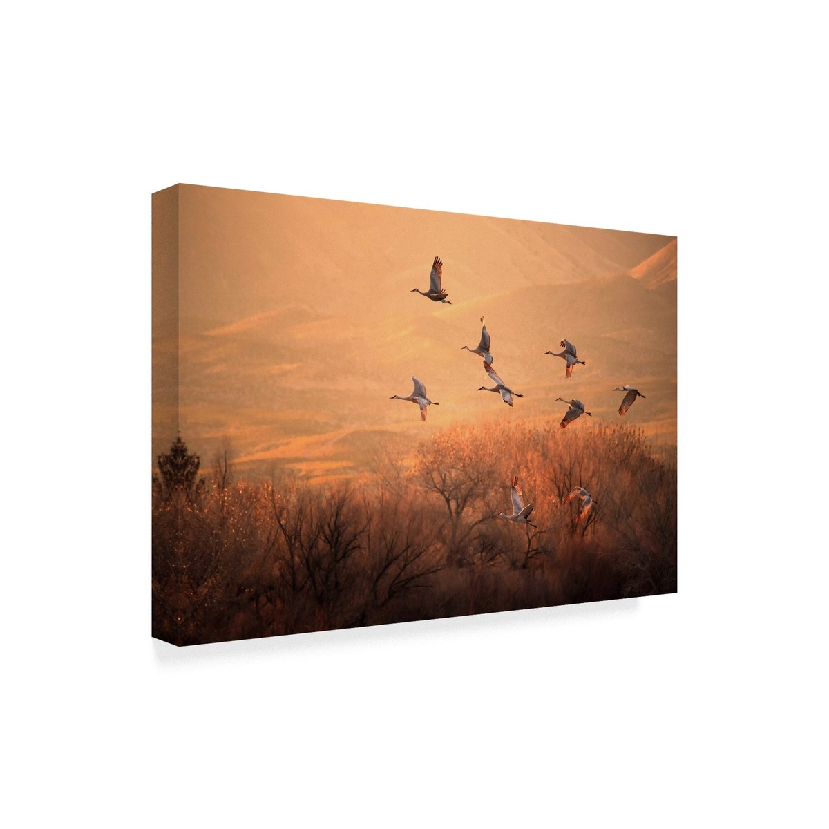 1X06878-C1624GG Fine Art, 16x24-Inch, Multicolor 1X06878-C1624GG Fine Art, 16x24-Inch, Multicolor