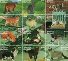 Antigua 1995 - Cats - Sheet of 12 Stamps - Scott #1918 - MNH