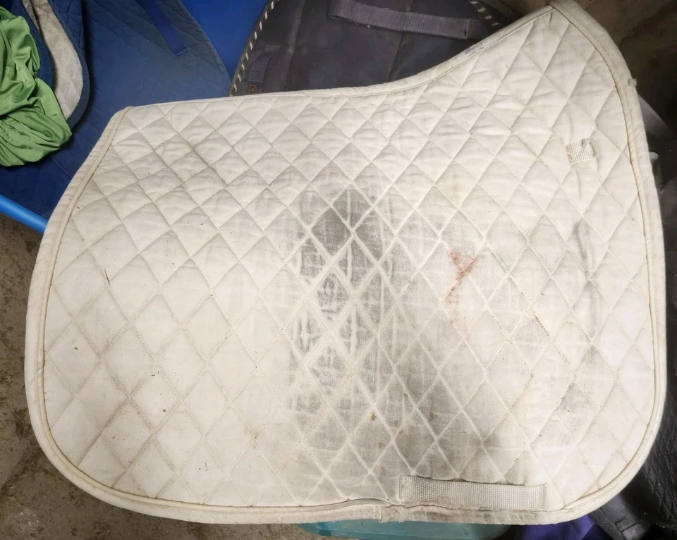 Almohadilla de sillín de doma Toklat Classic III - Usada  Foto 2 de 4