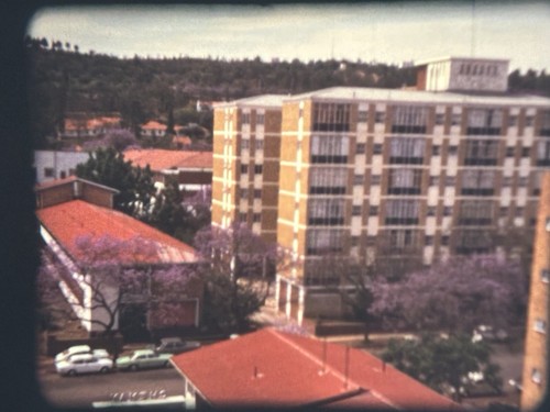 “Cape Town” (1973) Super 8mm Film Home Movie, Africa, Dance Beach Trees Zebra + - 第 9/24 張圖片