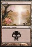 Swamp 102 Duels of the Planeswalkers Light Play MTG Magic DNA GAMES