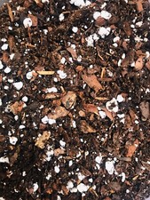 Clivia Compost. 3 Litre. Mature Plant Mix. UK National collection Holders