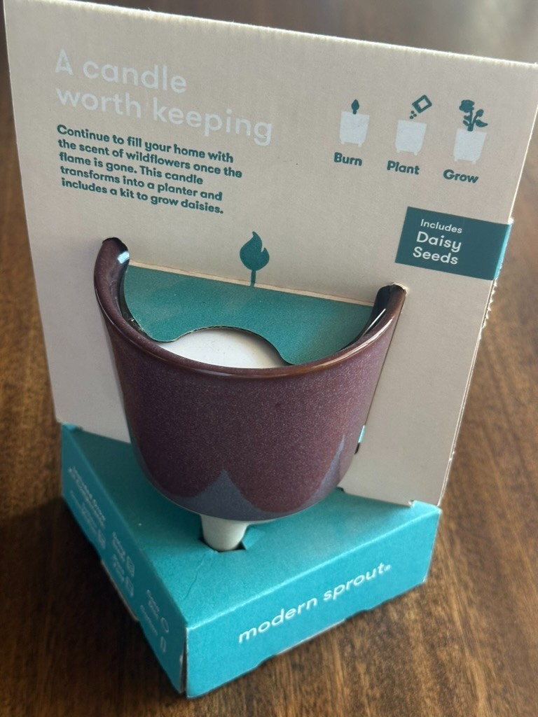 Glow and Grow Modern Sprout Ceramic Wildflower Scented Candle Kit, Daisy Seeds