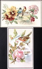 Birds Roses Pansies Embossed LOT OF 2 Junk Journal Victorian Trade Card