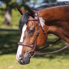 Premium Leather English Horse Bridle with Tack Set Available all Sizes