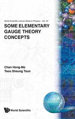 SOME ELEMENTARY GAUGE THEORY CONCEPTS (World - Hardcover, by H M Chan - Good b