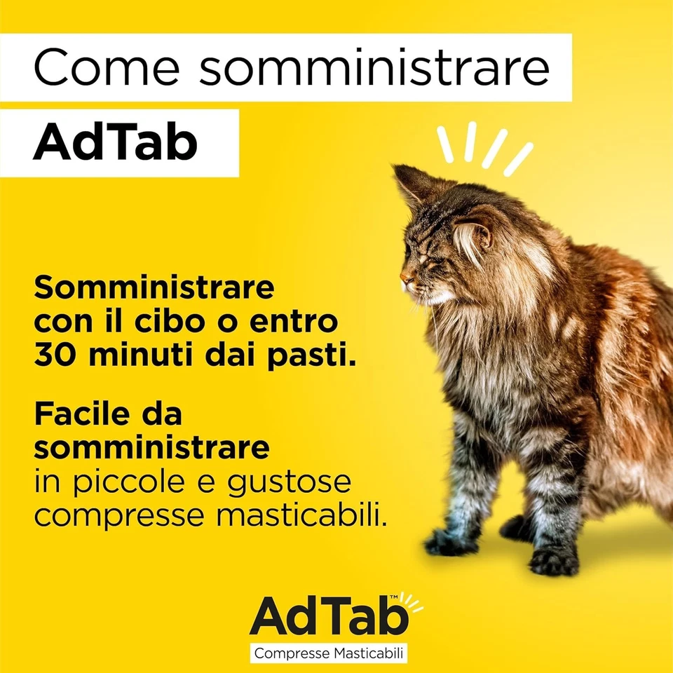 AdTab Chewable Tablets for Cats 2–8kg | Flea & Tick Treatment – 3 Pack - Immagine 3 di 4