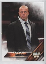 2016 Topps WWE Then Now Forever Joey Mercury #176 1i3
