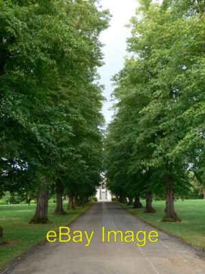 Foto 6x4 Avenue of Trees in der Nähe von Papworth Hospital Papworth Everard c2008