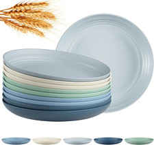 Quatish 10 PCS Unbreakable Reusable Plastic Plates,8 inch Dishwasher Microwave
