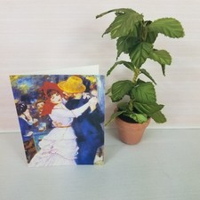 Lot 36 Miniature Note Cards Blank Inside No Envelopes Renoir The Danse Dance