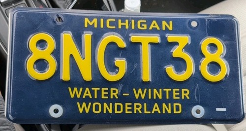 Targa MICHIGAN "8NGT38" ***OTTIMA**PAESE DELLE MERAVIGLIE ACQUA-INVERNO