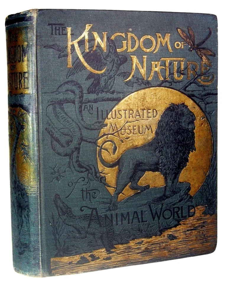 1900 ANTIQUE NATURAL HISTORY BOOK WILD ANIMALS BIRDS REPTILES LION JUNGLE SAFARI Foto 2 de 4