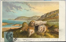 58152  - GB - POSTAL HISTORY:  POSTCARD from JERSEY postmarked in FRANCE!  1902