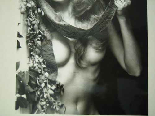 2X Original PRESS PHOTOS 8 x 10" 1966 Chero Kee Pin-Up 1960s Model FREE SHIP! - Picture 9 of 20