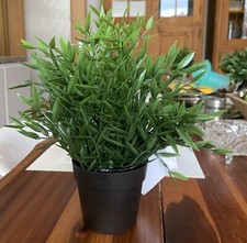 IKEA FEJKA Topfpflanze Monstera 90cm knstlich Kunstpflanze Getopft  Dekopflanze online kaufen | eBay.de