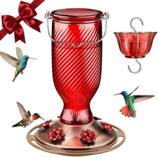 Glass Hummingbird Feeders for Outdoors, 24 Oz Hummingbird Nectar Feeder for Gard