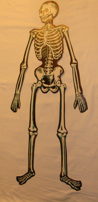 Vintage 22'' Halloween Skeleton Die-cut, jointed, Beistle, 1950's