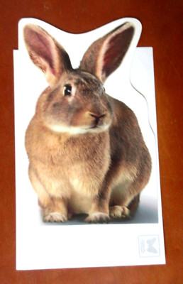 Large Easter Bunny Card with Mailing Envelope American Greetings