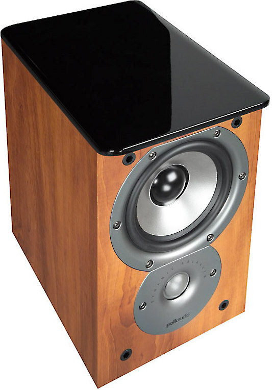 polk audio tsi100