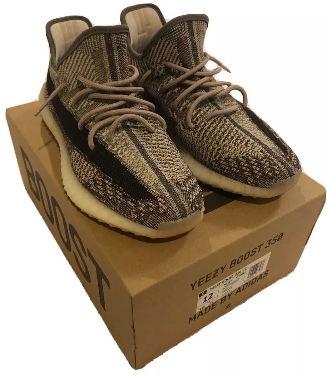 Mens yeezys size 12 sale
