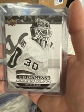 2024-25 Upper Deck Series 2 JOEL BLOMQVIST RC Young Guns Canvas Black and White