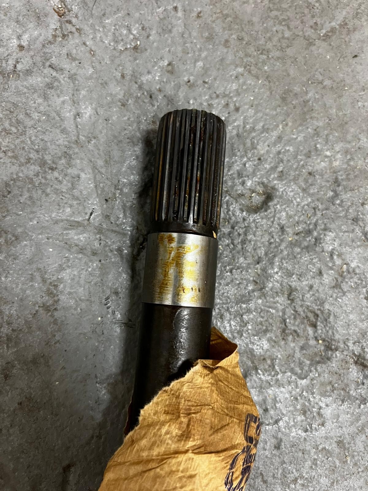 雑誌掲載 ダブルスタンダードクロージングswimwear 水着