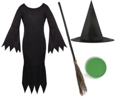GIRLS WICKED WITCH OF THE WEST COSTUME WORLD BOOK DAY KIDS FANCY DRESS ELPHABA