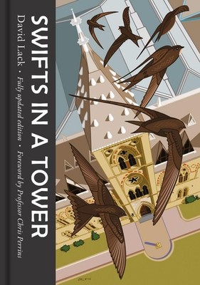 Swifts in a Tower by David Lack (English) Hardcover Book