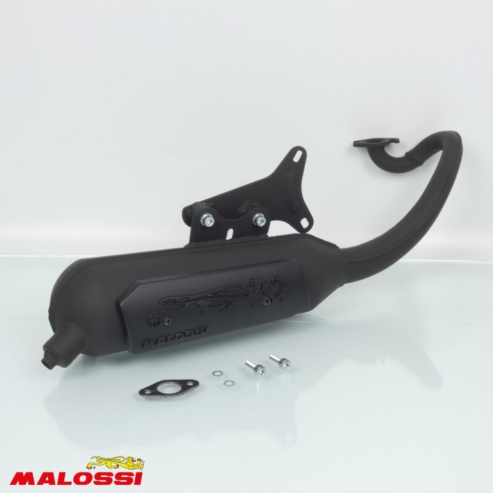 Pot echappement Malossi Yamaha 50 Why apres 1998 silencieux moteur Minarelli horizontal Wild Lion