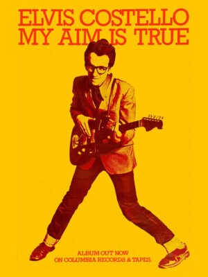 1977 Elvis Costello My Aim Is True Album Poster Metal Fridge Magnet 3 x 4 8479