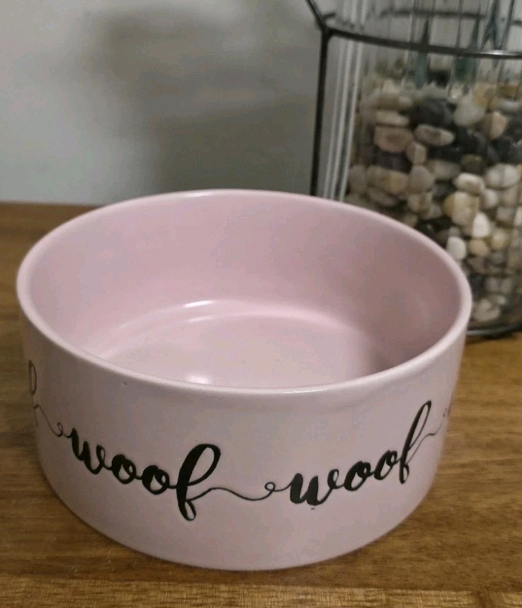 Water Dish Bowl Stoneware Euc 6"