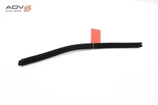 2023 - 2024 FISKER OCEAN REAR LEFT DOOR WINDOW INNER BELT WEATHERSTRIP SEAL OEM