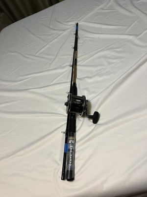 blue fish fishing pole Zebco Splash Blue Spinning Reel and Fishing Rod Combo, 6-Foot Pole, Size 20  Reel, Light Action Set