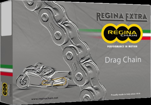 CADENA REGINA 135DR/1000 520DR X 120 ESLABONES - Imagen 3 de 3
