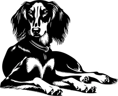 SALUKI Windhund Aufkleber - Saluki Autoaufkleber -Kontur - sticker #59 - Bild 1 von 3