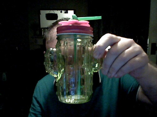 CACTUS SHAPED STRAW GLASS WATER BOTTLE BIRTHDAY CHRISTMAS DRINKING KIDS ADULTS