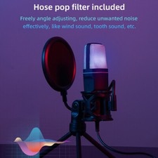 Microphone Mic Kit Broadcasting Singing Studio Recording Condenser USB PC Laptop