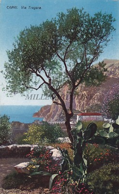 CAPRI - Via Tragara