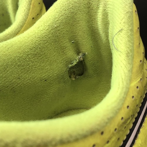 NIKE, TIEMPO, Boys, 8.5 Blue/green Cleats Vio3 - Picture 5 of 10