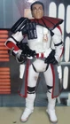 STAR WARS HASBRO ORDER 66 ARC Trooper Commander 2008 Loose 3.75 #519