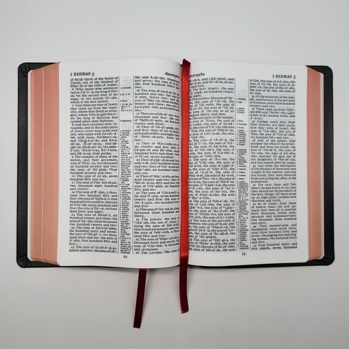 KJV Cameo Reference Bible w/ Apocrypha & Concordance Calfskin Leather Red-letter - Picture 11 of 24