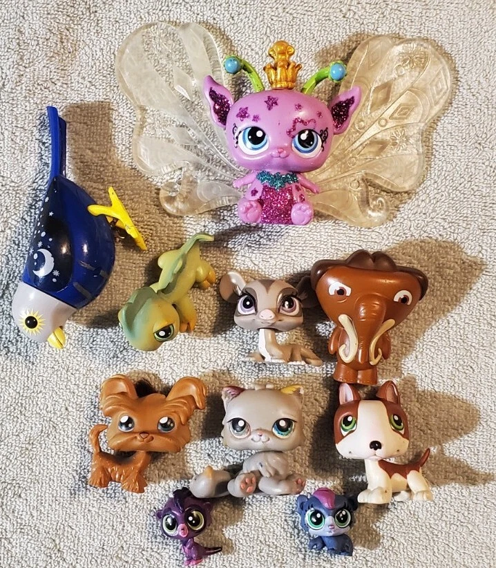 Ebay lps shop accessories