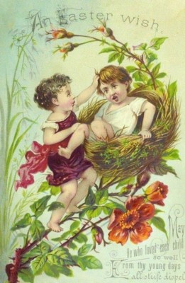 1880's-90's Embossed Easter Card Children Fighting In Giant Bird's Nest P92