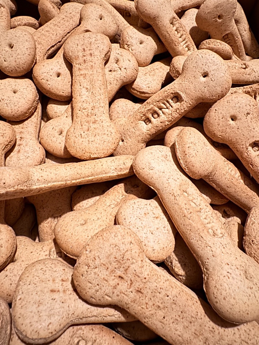 Purina Bonio Original Dog Training Reward Treat Biscuits (Sample