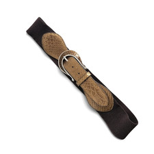 Chico's Brown Bronze Reptile Embossed Stretch Belt Size Large Statement Buckle