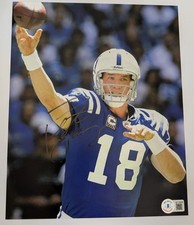 Indianapolis Colts Collecting and Fan Guide 73