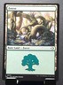 MTG 0273 FOREST Lorwyn Eclipsed Basic Land card⚔️NM/MT